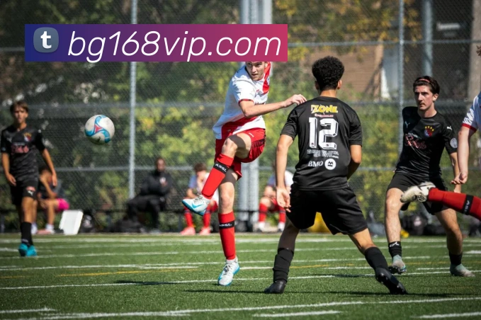 BG真人APP 封面图